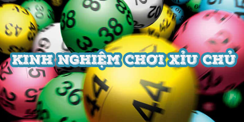 Kinh nghiệm chơi xỉu chủ từ các chuyên gia